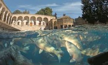 Günübirlik Gaziantep Şanlıurfa Halfeti Tekne Turu