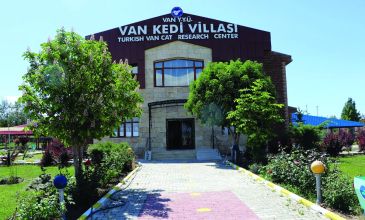 Günübirlik Van Gölü ve Akdamar Adası Masalı Turu